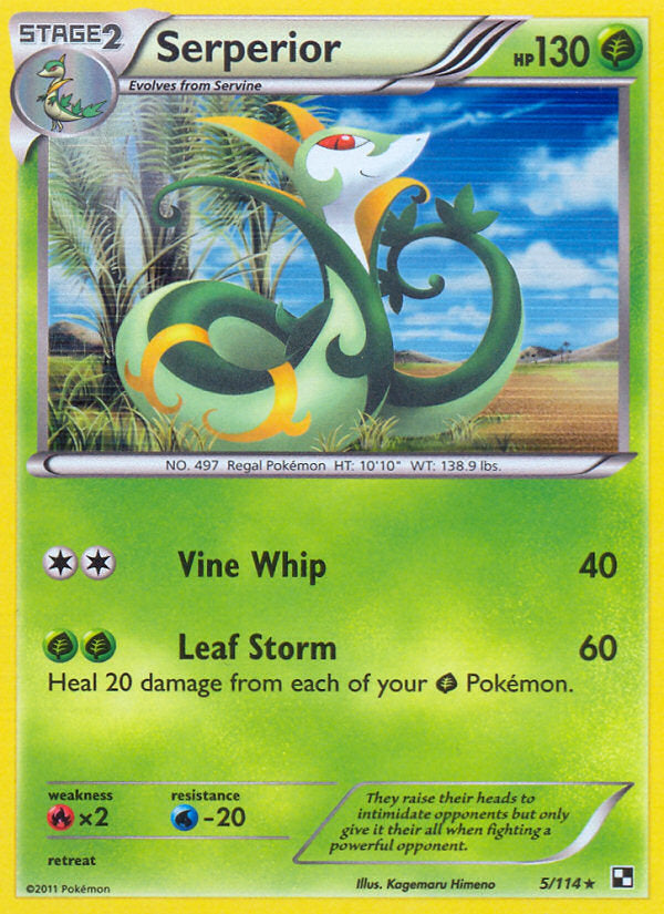 Black & White Holo Serperior #5/114